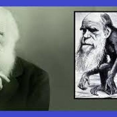 Timeline: LA SÍNTESIS EVOLUTIVA MODERNA