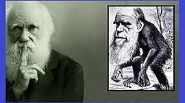 Timeline: LA SÍNTESIS EVOLUTIVA MODERNA