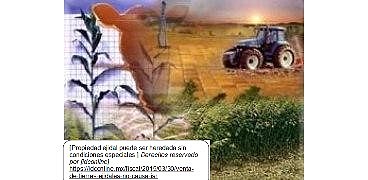 Decreto que da preferencia a los ejidos y comunidades