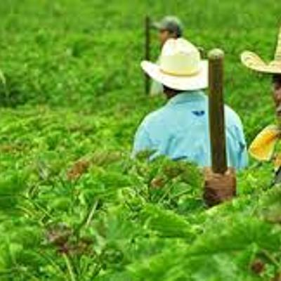 Timeline: Historia del derecho agrario en México