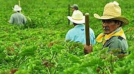 Timeline: Historia del derecho agrario en México