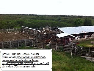 Expedición el reglamento para las solicitudes de inafectabilidad de terrenos ganaderos.