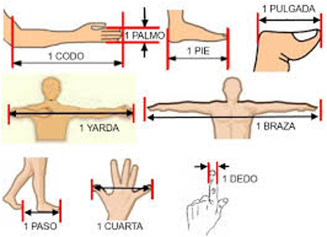 Primeras unidades de medida