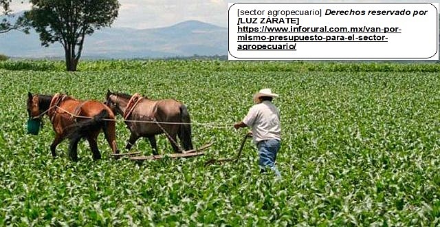Ley de Fomento Agropecuario
