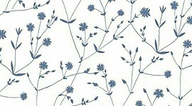 Timeline: ¨Historia de la educación uruguaya¨