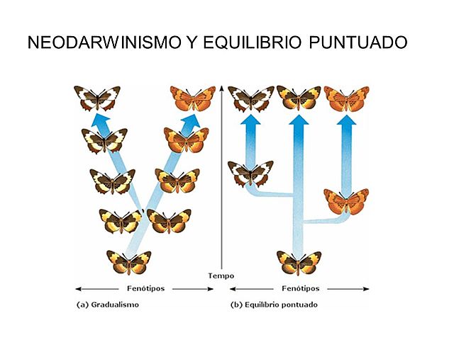 EQUILIBRIO PUNTUADO