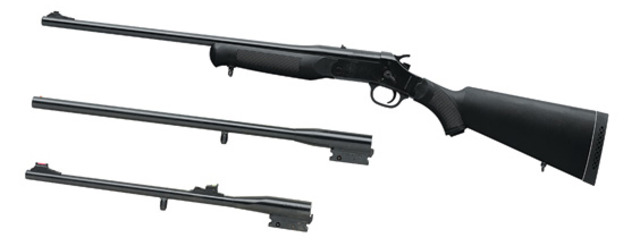 Executed-Falling Action