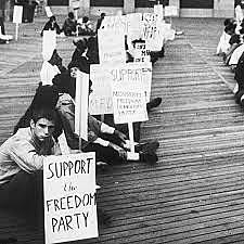 Freedom Summer