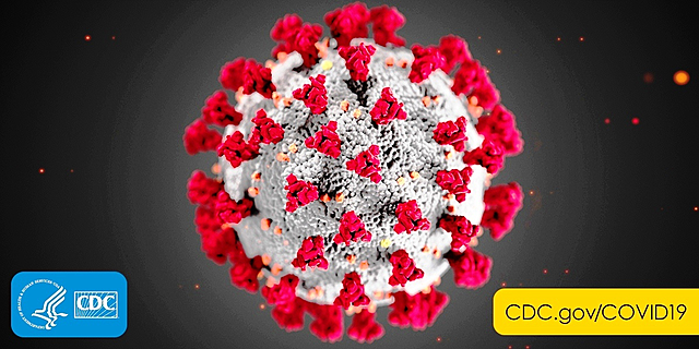REPORTE DE COVID-19 A LA OMS POR GOBIERNO CHINO.