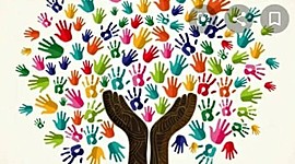 Timeline: დისტანციური სწავლება