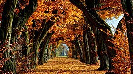 Timeline: პროექტის პირველი დღე