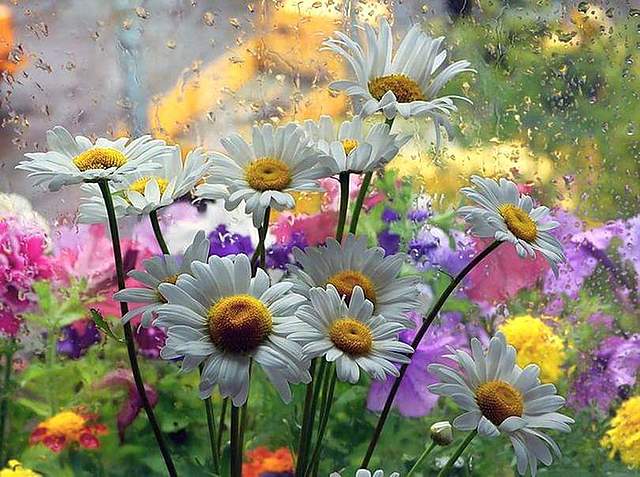 ვებინარის მესამე დღე