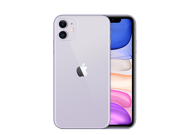 The first mobile smartphone was introduced by Apple's App Store