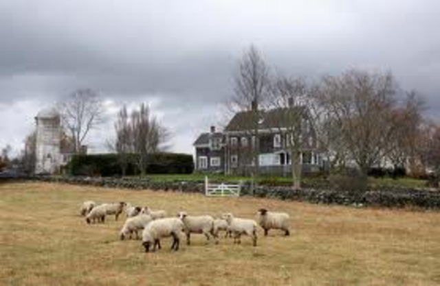 Exposition 2: Setting