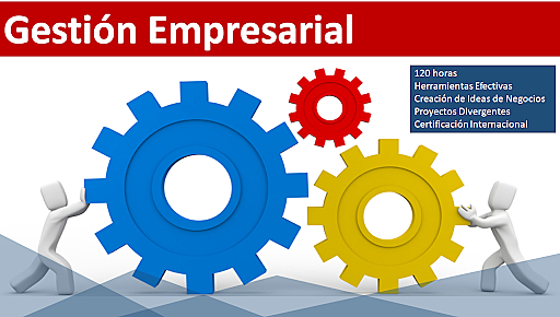 Proyecto de gestión empresarial en el colegio