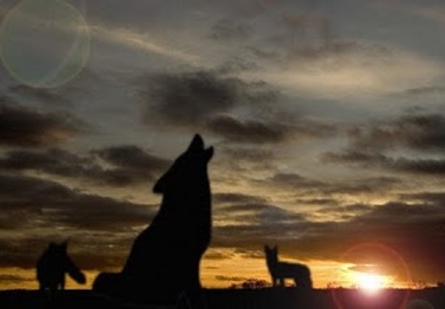 Rising Action: Event 2