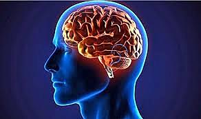 NIVELES DE INFERENCIA