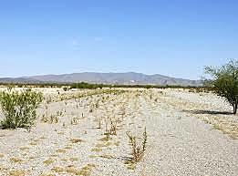 Ley sobre Ocupación y Enajenación de Terrenos Baldíos.