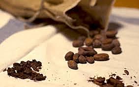 Se autoriza el libre comercio de cacao de Guayaquil con Nueva España