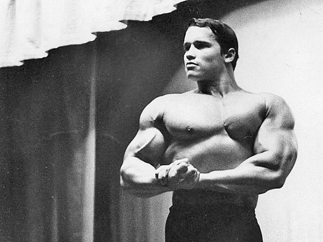 Arnold Schwarzenegger Bodybuilding Career timeline | Timetoast