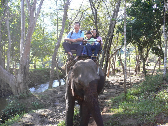 The First Time I Rode An Elephant