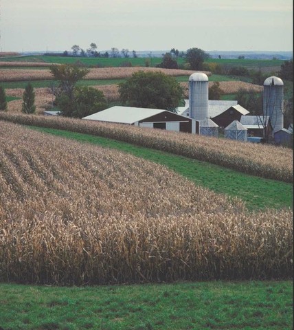 Article about GM plants