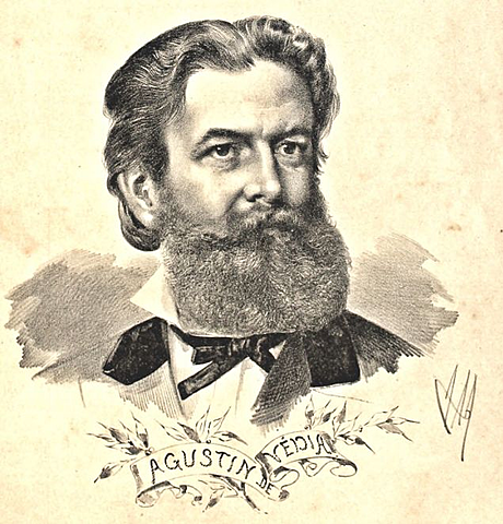 "Ley de Educación" por Agustín de Vedia