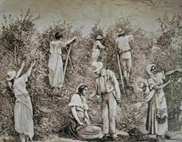 COLOMBIA (1750-1920)