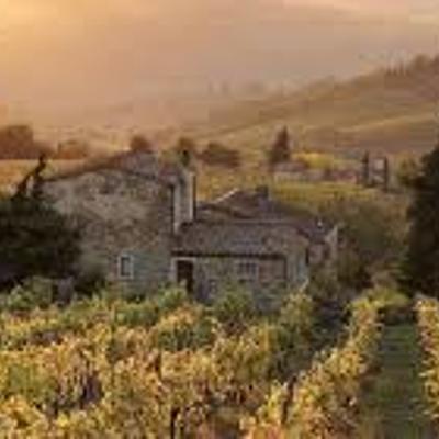 Timeline: Desarrollo Histórico de la Servidumbre