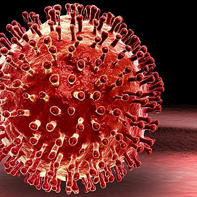 Timeline: The spread of COVID-19