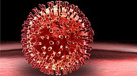 Timeline: The spread of COVID-19