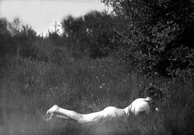 Imogen Cunningham (Estados Unidos, 1886-1976)