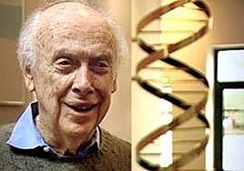 James Watson i Francis Crick descobreixen l’estructura del ADN.