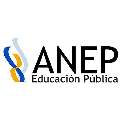 Revisión: Planes Educativos de Primaria por Comisión de A.N.E.P