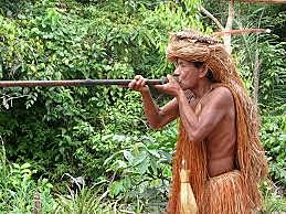 Toxicología en américa- Flecha de curare