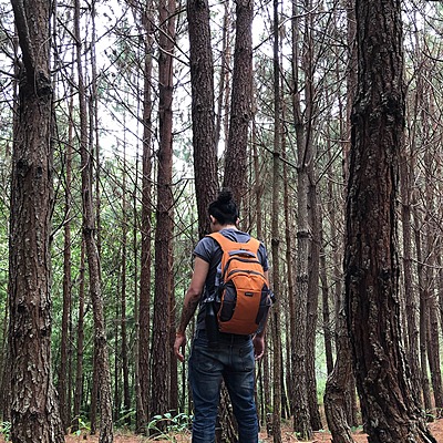 Timeline: Acontecimientos memorables (Julio López)