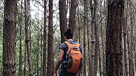 Timeline: Acontecimientos memorables (Julio López)