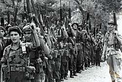 Ofensiva guerrillera del FMLN en distintos puntos del pais.