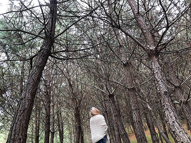 Viajo a Oaxaca con Made y probamos los hongos alucinógenos