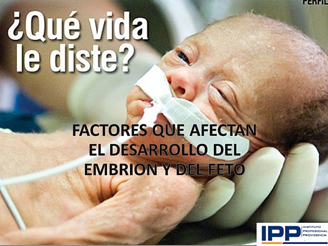 Factores teratógenos