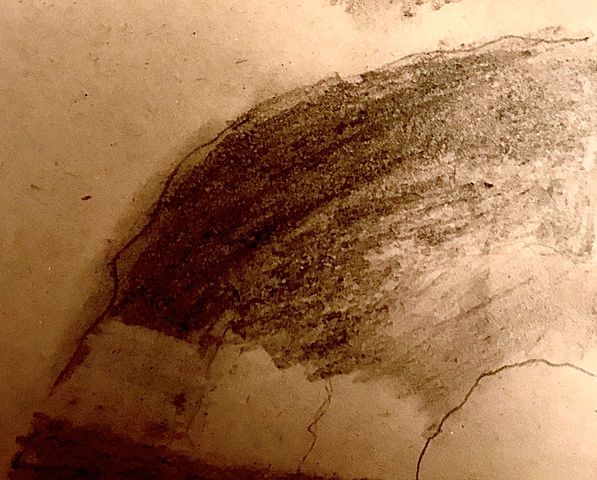 Periodo Pre - Histórico