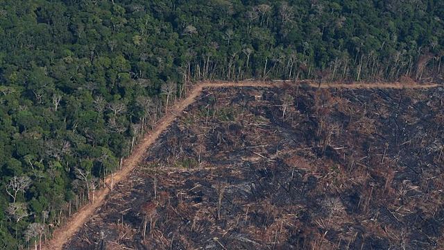 Clearing and Logging of rainforest in the Amazon