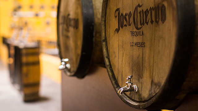 Nuevas Empresas en la BMV