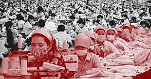 DERECHOS DE LOS GRUPOS DE TRABAJADORES DEL CAMPO Y DE LA CIUDAD