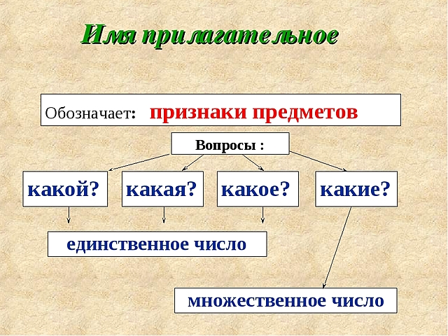 имя прилагательное