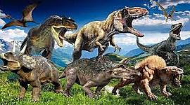 Timeline: Historia de la Tierra