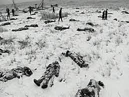 Wounded Knee Massacre
