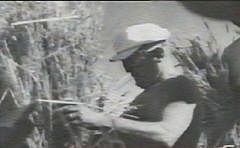 Implantacion batalla del trigo