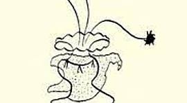 Timeline: romance gitano