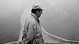 Timeline: walking around